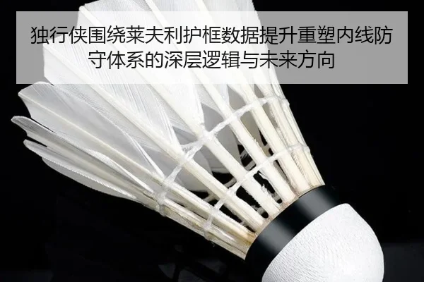 独行侠围绕莱夫利护框数据提升重塑内线防守体系的深层逻辑与未来方向